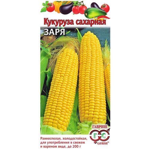 ���������� �������� �������� ����, ������ ������ ( 1 ��: 5 � )