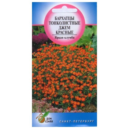 ���������� �������� (������� �����������) ������������ ���� �������, 90 �����