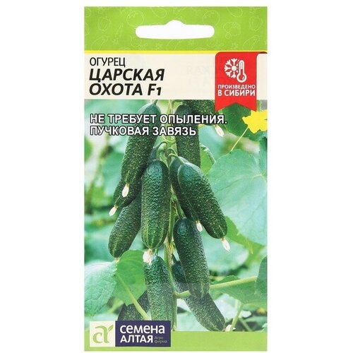 ���������� ������ ������ 