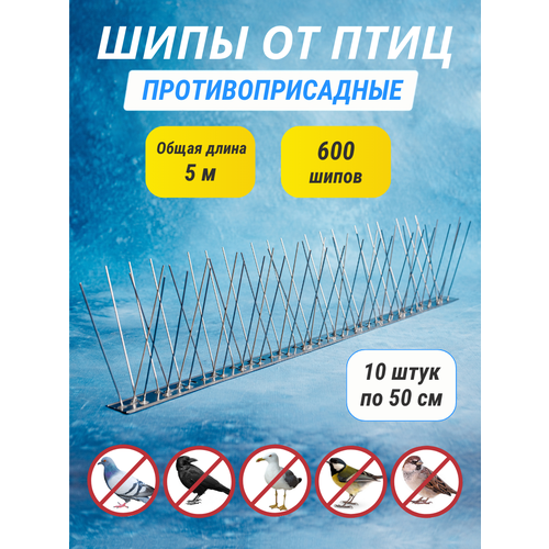 ���������� ���� ���������������� �� ���� 10 ���� �� 50 ��