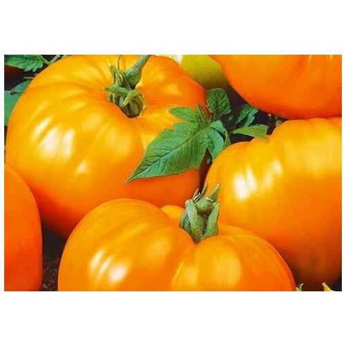 ���������� ������ ����� ��������� ��������� 0.1� ����� ������ (��������� ������)