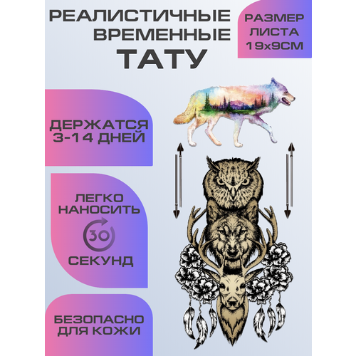 ���������� ���� ���������� �������������� ����