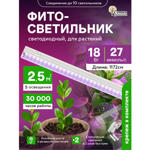 ���������� ��������� ��� �������� ��������������� 18 ��, ������ ��� ������� � ��������, � ������������, ���������� ����