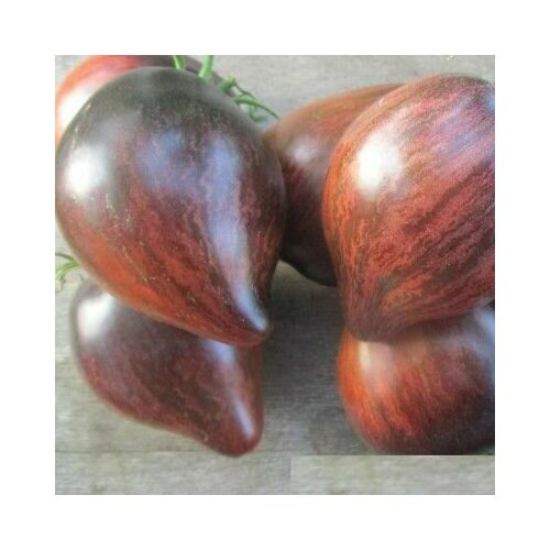 ���������� ������������� ������ ������ �������� ������� ����������� - ����