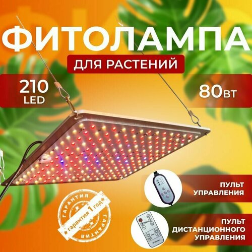             Quantum board 80  210 LED   , -, 