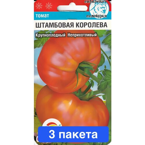 ���������� ������ ������ ��������� ��� 