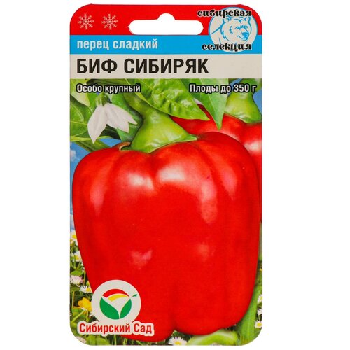 ���������� ������ ����� '���-�������', 15 ��