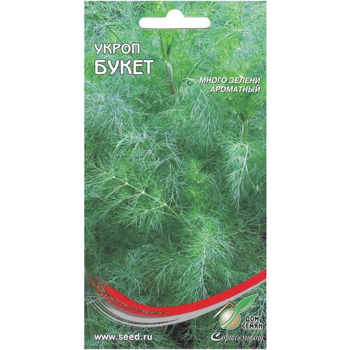 ���������� ����� �����, 1100 �����