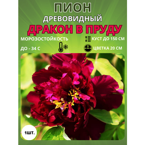 ���������� ���� ������ � ����� 1 ��.