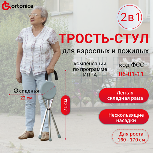 ���������� ������ ����������� � �������� Ortonica �� 601 �� 100 ��