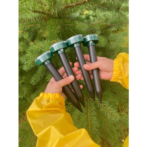 ���������� �������������� ������������ ����, ��������, ������ ����� 4 ��.