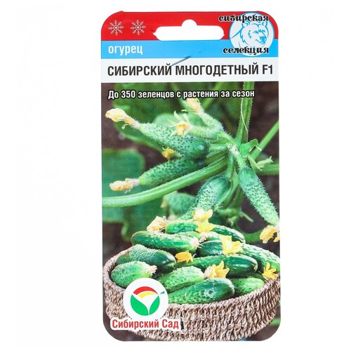 ���������� ������ ������ 