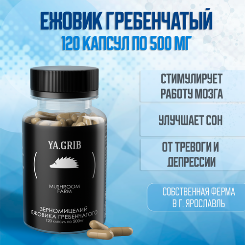 ���������� ������� �����. YA.GRIB. ������ ����������� (������ �����������). ���� �������. �������. �������� ���� 120 ������ �� 500 ��