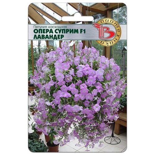 ���������� ������ ������� ��������� 