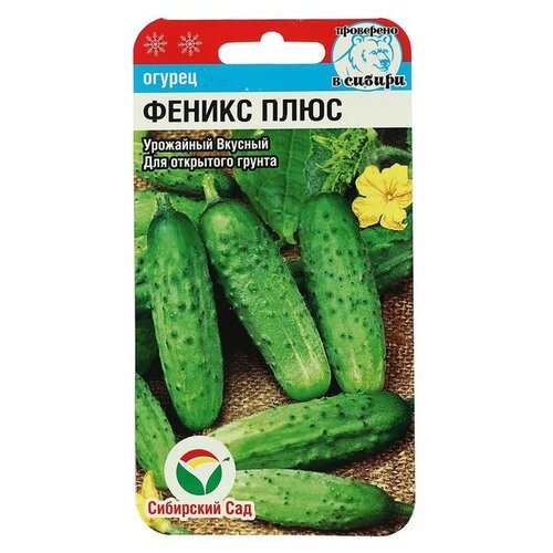 ���������� ������ ������ 