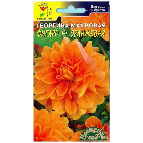 ���������� ������ �������� ��� 