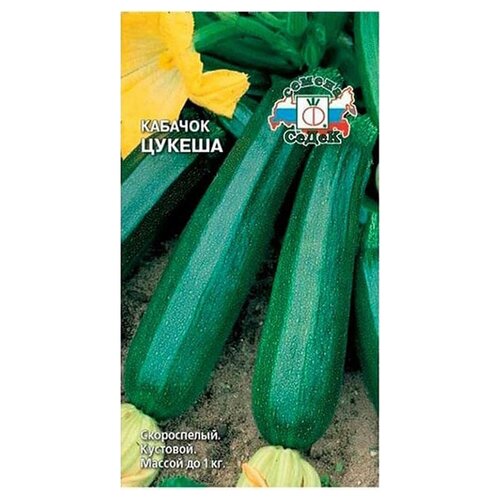 ���������� ������ ����� ������� ������