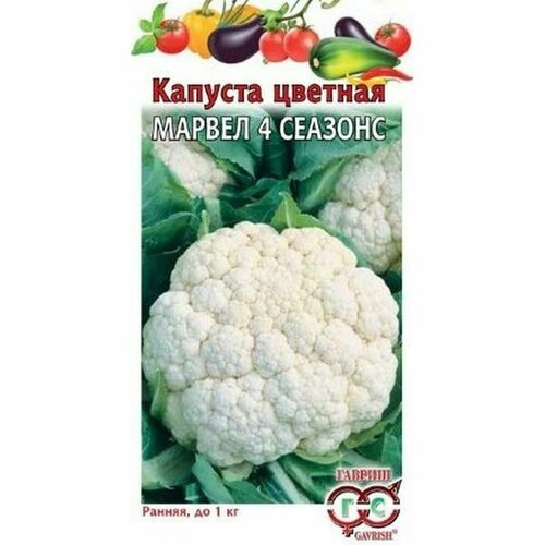 ���������� ������ ������� ������� ������ 4 �������, �����������, (������) 0,3�