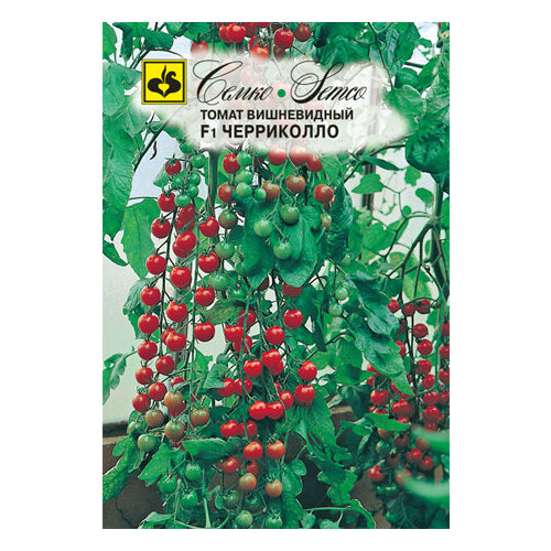 ���������� ������ ����� ���������� F1 10�� ����� ������ (�����)