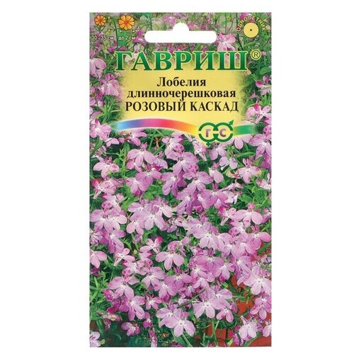 ���������� ������ ������ ������� ��������� 