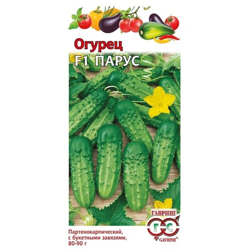 ���������� ������ ������ ������ �� ������ ������ ����� F1 10 ��.