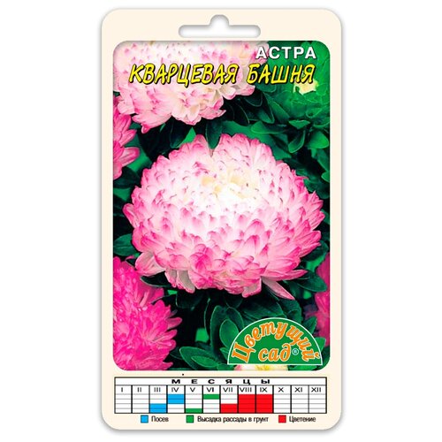 ���������� ������ �������� ��� 