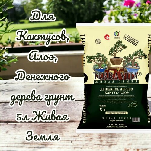 ���������� ��� ��������, ����, ��������� ������ ����� 5� ����� �����