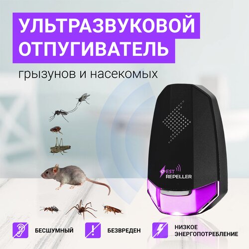 ���������� ������������ ����� ��������������, ���������, ��������, ����, ���������