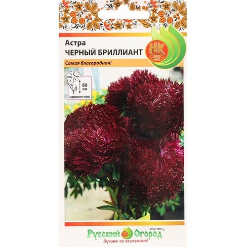 ���������� ������ ������ ����� 