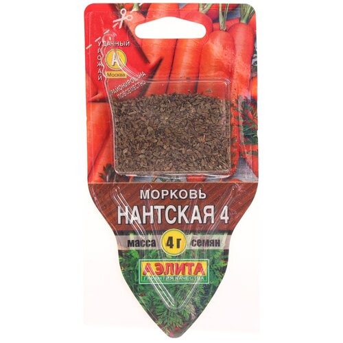 ���������� ������ ��������� ������ ������ ���� ������� �������� 4, 4 �