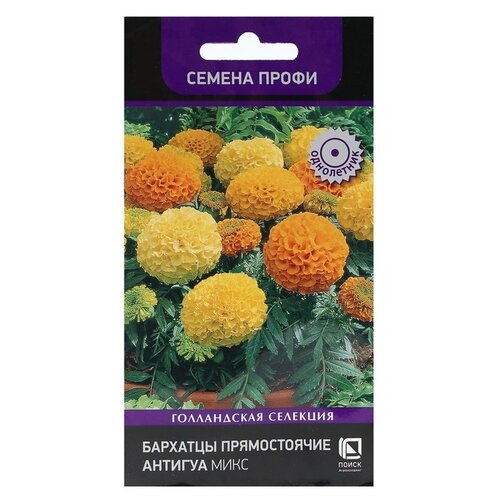 ���������� ������ ����� �������� ������������ ������� ����, 15 ��