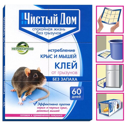 ���������� �������� �� �������� ������ ���, ����-�������