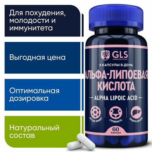    / Alpha Lipoic 100 ,     ,     , 60    , -, 