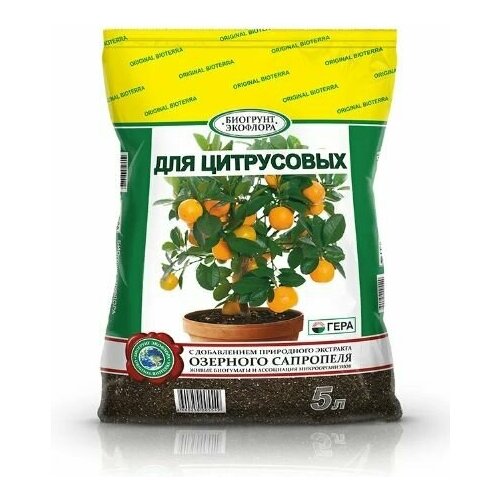 ���������� ����� ��� ���������� 5 � ����