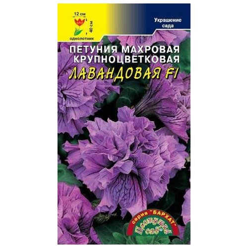 ���������� ������ �������� ��� 