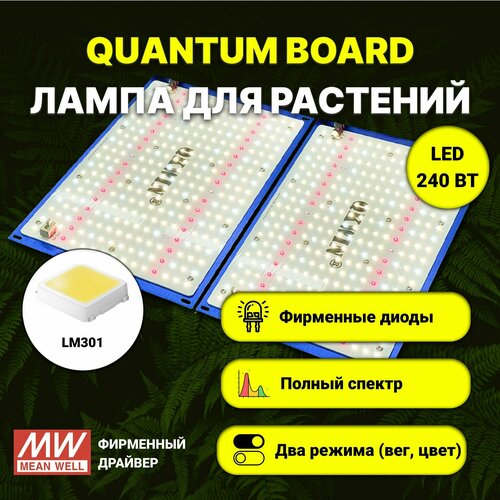   / quantum board c  LM-301,  240 , Mean Well, 5000,     , -, 