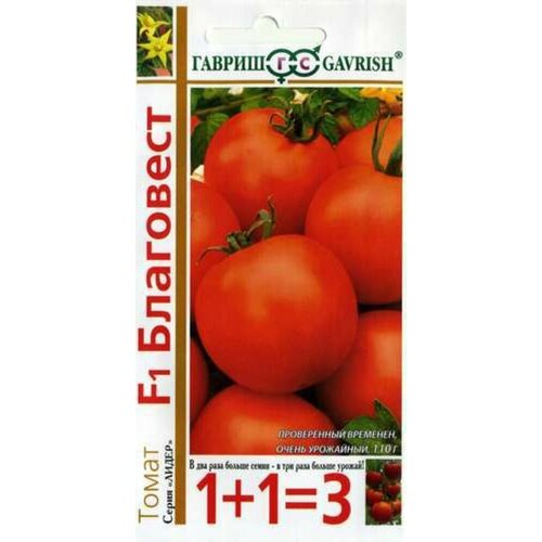 ���������� ������ ����� ��������� F1 25�� ��� ������ (������) 1+1