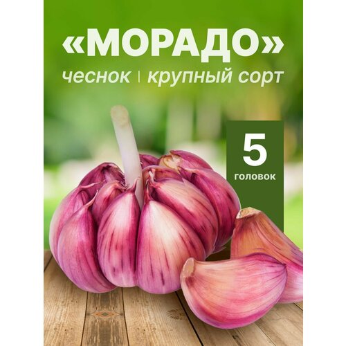 ���������� ���������� ������ ������ (�����������) �� ������� 5 �������