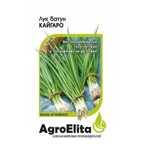 ���������� ������. ��� ����� 