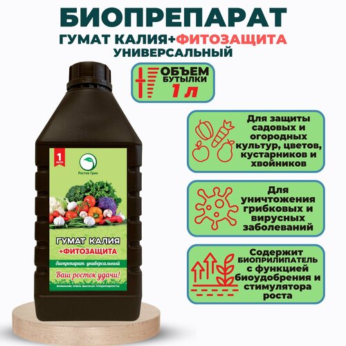 ���������� ����� ����� ������ + ����������. ����������� ������������� 1�. ����������� �����������, �������� ���� � ������� ��� ������, �������� ��������� �������� � ���������� � ���������.