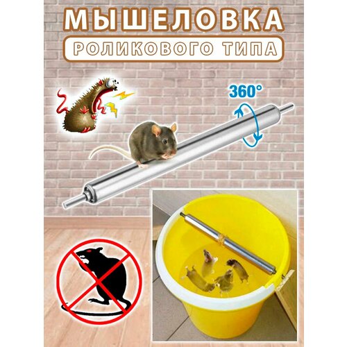 ���������� ��������� ���������� ����, ��������� �� �����