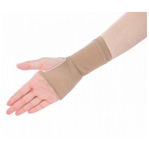 ALMED     Compression 2,  L,    , -, 