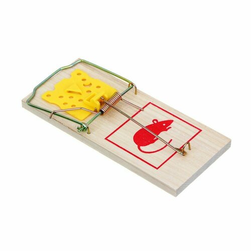 ���������� INBLOOM ��������� 179�79��, ������, ������