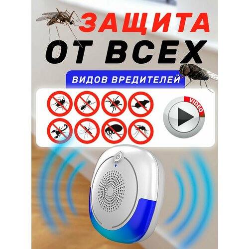 ���������� ������������ �����, �������, ����, ��������� ��������� ��������������