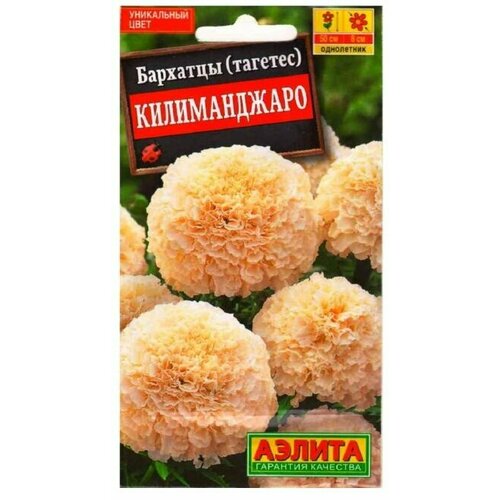 ���������� �������� ������������ �������. 0,05��. (������)