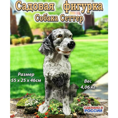 ���������� ������� ������� ������ ������, ����� ��� ����, ���� � �������