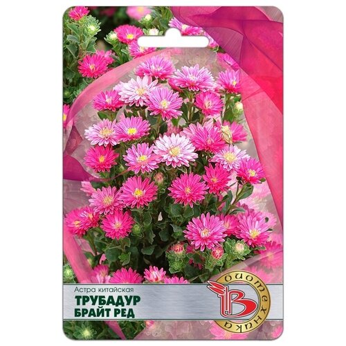 ���������� ������ ����� ��������� 