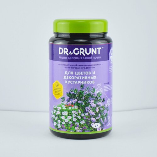         DR GRUNT   , -, 