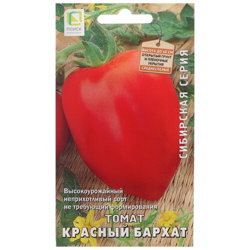 ���������� ������ ����� ��������� ����� ����� ������� ������, 15 ��.