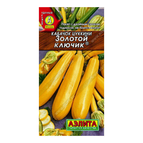 ���������� ������ ������� ������� ������ ������� 1� ������ ������ (������)